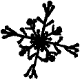 Snowflake Icon